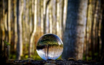 Balancer (BAL) Price Predictions for 2025: Key Trends and Insights Shaping the Future of DeFi