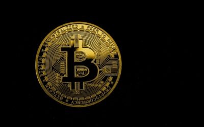 Crypto vs. Fiat: Trends and Predictions That Will Shape 2025’s Financial Landscape