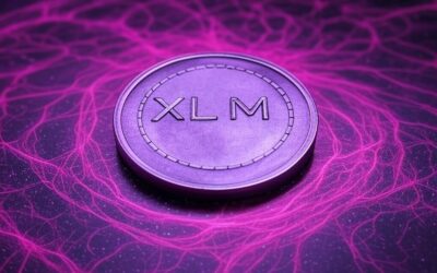 XRP’s Sister Network Experiences Steady Growth
